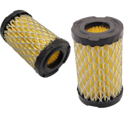 FILTR POWIETRZA 35066 TECUMSEH 3,5-4 HP CENTURA SPECTRA