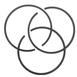 PIERŚCIENIE TŁOKA CEDRUS 8,5kW DG8.5E-3F CEDRUS śr.100mm 2,0/2,0/4,0 ORI