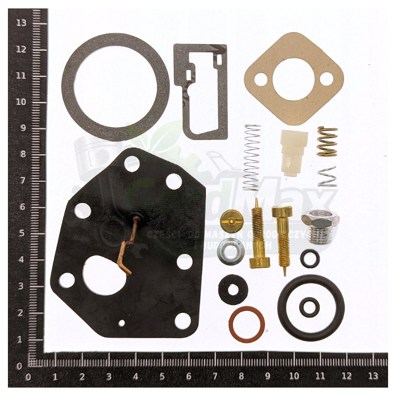 ZESTAW NAPRAWCZY GAŹNIKA BRIGGS&STRATTON 494622 Vacu-Jet