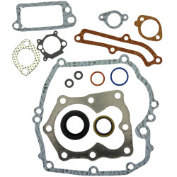 ZESTAW USZCZELEK BRIGGS STRATTON QUANTUM 14 ELEMENTÓW DOLNY SV