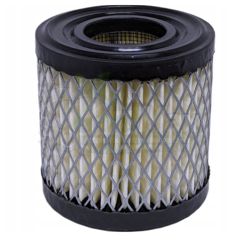 FILTR POWIETRZA 392308 DO SILNIKÓW BRIGGS & STRATTON 3-5 HP