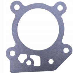 USZCZELKA GŁOWICY BRIGGS STRATTON 450 500 550 08P502 09P602 09P702