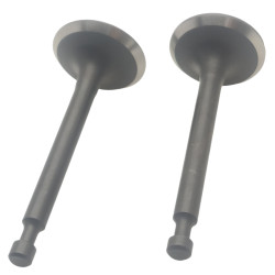 ZAWORY HONDA GX160 GX200 SSĄCY WYDECHOWY KOMPLET 2 SZT.