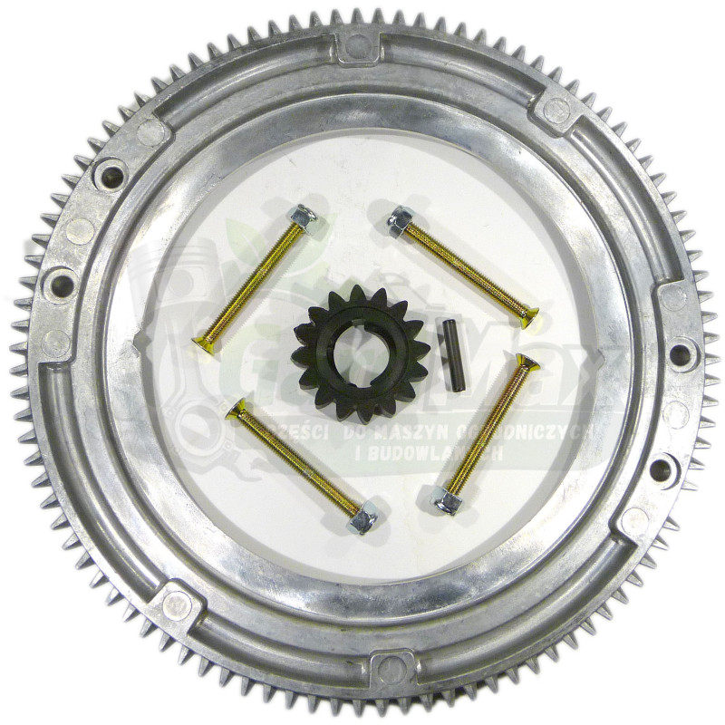 WIENIEC ZĘBATY KOŁA ZAMACHOWEGO BRIGGS STRATTON 10-15 HP 19 22 25 28 31
