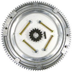 WIENIEC ZĘBATY KOŁA ZAMACHOWEGO BRIGGS STRATTON 10-15 HP 19 22 25 28 31