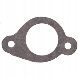 USZCZELKA KOLEKTORA SSĄCEGO BRIGGS STRATTON QUANTUM SERIA 600